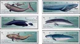 Delcampe - Namibia 2019 Whales 6v Mint - Namibia (1990- ...)