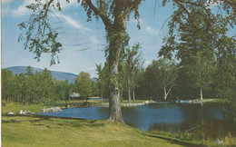 Moose Brook State Park, Gorham, New Hampshire - White Mountains