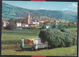 64 - Aïnhoa - Village Type Du Pays Basque - Ainhoa