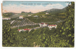 Avocado Groves - San Diego California 1955 - San Diego