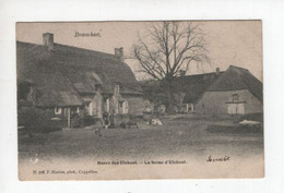 1 Oude Postkaart  BRASSCHAET Brasschaat  Hoeve Den Elshout 1904  Uitgever Hoelen - Brasschaat