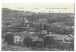 PEPINSTER  --  Panorama  - La Gare Et Le Nouvel Hospice - Pepinster