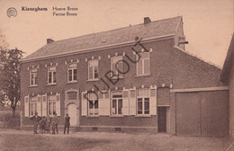 Postkaarte/Carte Postale - Tielt-Winge - Kiezegem/Kieseghem - Hoeve Broos (C3231) - Tielt-Winge