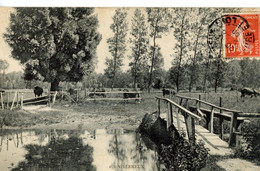 VILLEMEUX SUR EURE LE PONT SAINT PIERRE VACHES 1909 - Villemeux-sur-Eure