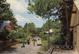 Delcampe - CARTOLINA  LA SILA,COSENZA,CALABRIA,VILLAGGIO MANCUSO-STORIA,MEMORIA,CULTURA,RELIGIONE,BELLA ITALIA,VIAGGIATA 1975 - Catanzaro