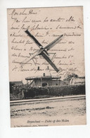 1 Oude Postkaart  BRASSCHAET Brasschaat  Zict Op Den Molen  1905  Uitgever Van Wesenbeeck - Brasschaat