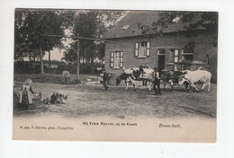 1 Oude Postkaart  BRASSCHAET Brasschaat  KAART Bij Trien Meyvis - Brasschaat