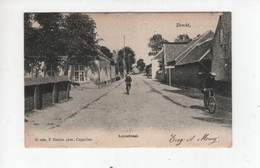 1 Oude Postkaart  Brecht Leysstraat  1906  Uitgever Hoelen - Brecht