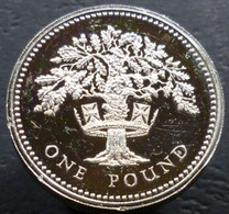 Gran Bretagna - Pound 1987 - Inghilterra - Quercia E Corona - KM# 948a - 1 Pound
