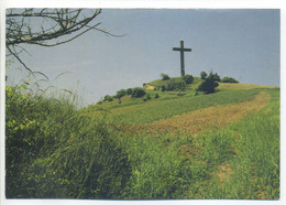 CPSM [81] Tarn Environs De RÉALMONT - Pic De Caylou - Croix - Vue Peu Commune - Realmont