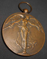 WW1 Médaille De La Victoire Interalliée Paul Dubois Grande Guerre Pour La Civilisation Belgique 9 Provinces - Belgien