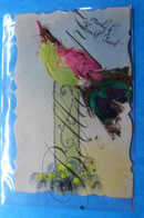 Postcard Hand Painted -Paint A La Main-Handbeschilderd Celuloid Paradijsvogel Bird - Ostern