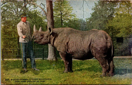 New York Zoological Park Two Horned African Rhinocerus - Bronx