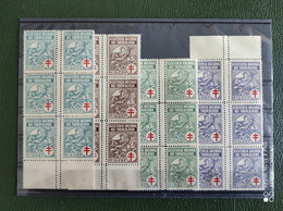 ERRO VARIEDADE Portugal 1929 Full Set Blocks Of 6 With Perforation Error Variety Assistençia Very Rare In This Format - Neufs