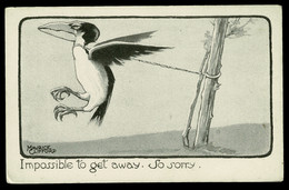 Ref 1589 -  Early Unusual Comic Postcard By Maurice Clifford - Bird "Impossible To Get Away So Sorry" - Bandes Dessinées