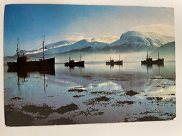 CPSM - ECOSSE - Loch Linnhe - Winter Calm - Ben Nevis - Card No. 2560 - Ross & Cromarty