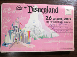 Vintage DISNEYLAND Postcard - Disneyland