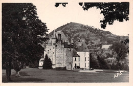 RETOURNAC (Haute-Loire) - Château De Vaux Aux Environs - Retournac