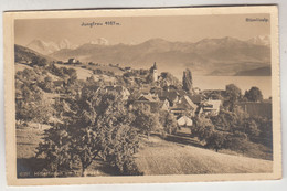 C3388) HILTERFINGEN Am Thunersee - Häuser Feld - Jungfrau U. Blümlisalp 1917 - Hilterfingen