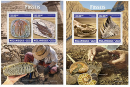 Mozambique  2021 Fossils. (303b) OFFICIAL ISSUE - Fossiles