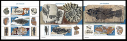 Djibouti  2022 Fossils. (102) OFFICIAL ISSUE - Fossiles