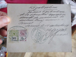 Timbres Oblitérés Sur Carte Canton De Berne 15 & 50 Centimes Et Son Ours + Tampon - 1843-1852 Kantonalmarken Und Bundesmarken