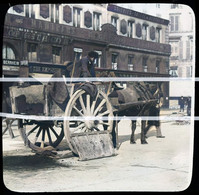 PARIS LA CALECHE      TIRAGE   MODERNE D APRES PLAQUE PHOTO RECOLORISEE PAR MES SOINS - Vendedores Ambulantes