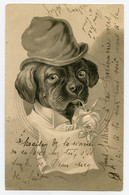 Chien Avec Chapeau Et Rose Dans Les Dents.dog.hat.carte Gaufrée. - Geklede Dieren