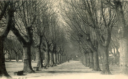 ROQUEMAURE PLACE DE LA POUSTERLE 1905 - Roquemaure