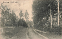 CPA - Belgique - Cortenberg - Chemin Du Bois - Photo Willems - Oblitéré 1910 -Animé - Bois - Andere & Zonder Classificatie