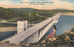 3504 – Arkansas USA - Woman Viewing Norfork Dam And Lake In The Ozarks – Vintage – Linen – VG Condition – 2 Scans - Altri & Non Classificati