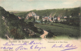 CPA - Belgique - Souvenir De Durbuy - Promenade De La Haie Himpe - Edit. Lejeune - Colorisé - Oblitéré Durbuy 1901 - Durbuy
