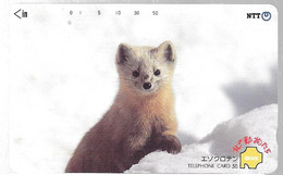 CARTE-MAGNETIQUE-JAPON-1988-RENARD De Neige-UTILISE-TBE - Chiens