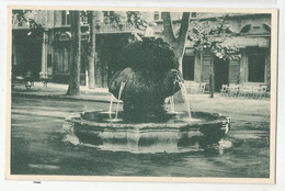 13 Aix En Provence Fontaine D'eau Chaude Et Commerce  Cliché Brun Ed Goulard - Aix En Provence