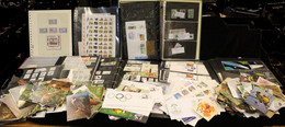 MISCELLANEOUS Ranges Of Stamps & Covers In A Carton, Stamps Mainly UM, Strength In Marine Life UM, Birds UM Collection I - Andere & Zonder Classificatie