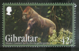 Gibraltar 2012 Gorilla Wildlife Endangered Animal Sc 1358 MNH # 56 - Gorilas