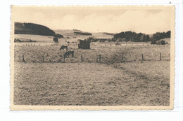 Manderfeld Vallée De L'our - Bullange - Büllingen