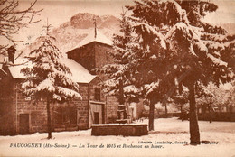 70	CB219	Faucogney	La Tour De 1015 Et Rochenoz En Hiver		Ecrite	1925 - Faucogney