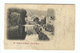 10. Vallée De La Meuse . Vue Du Bocq 1900 - Yvoir