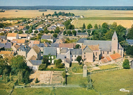 MARCHENOIR, VUE AERIENNE COULEUR REF 5377 - Marchenoir