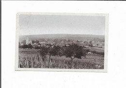 89  Yonne  :  Appoigny  Vue Générale    Réf  9616 - Appoigny