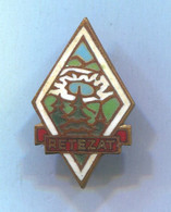 Alpinism Mountaineering - RETEZAT Mountains Transylvania Romania, Vintage Pin Badge Abzeichen, Enamel - Alpinismus, Bergsteigen