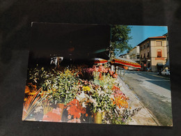 Cartolina Forte Dei Marmi 1970. Lucca. Piazza Marconi. Mercato Dei Fiori. Condizioni Buone. Viaggiata. - Lucca