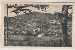 C3441) WEIZ - Steiermark - Häuser Aus Dem Wald Gesehen - 27.10.1943 - Weiz