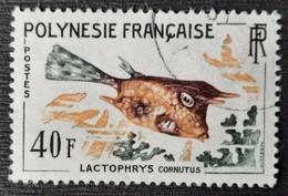 Polynésie Française 1962 N°21 Ob TB Cote 11€ - Usati