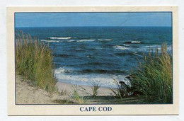 AK 106997 USA - Boston - Cape Cod - Cape Cod