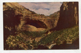 AK 107011 USA - Utah - Zion National Park - The Great Arch - Zion