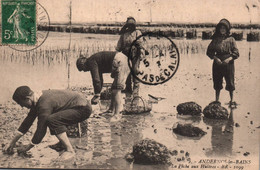 Andernos Les Bains - La Pêche Aux Huîtres - Cachet Au Dos Huîtres Des Gourmets ED. BAZOT , Andernos 4 Avril 1913 - Andernos-les-Bains