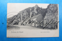 Anhée Sur La Route Environs De Dinant , Nels  Serie 7, N° 97-1901 - Anhée