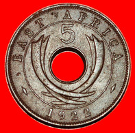 ~ GREAT BRITAIN (1921-1936): EAST AFRICA ★ 5 CENTS 1922! GEORGE V (1911-1936)★LOW START ★ NO RESERVE! - Britische Kolonie